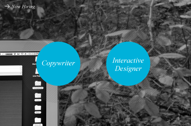Now Hiring: Copywriter & Interactive Designer