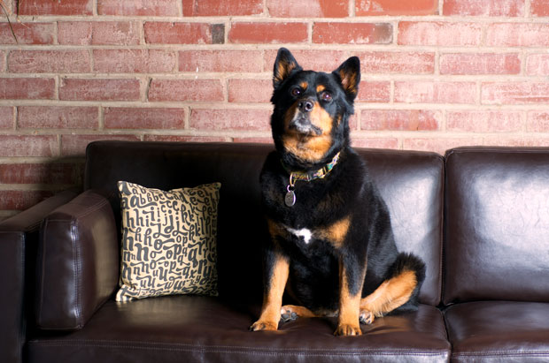 Gert on the couch at Atomicdust