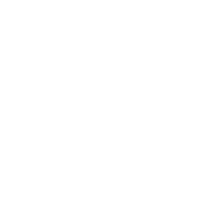 Halski Studio