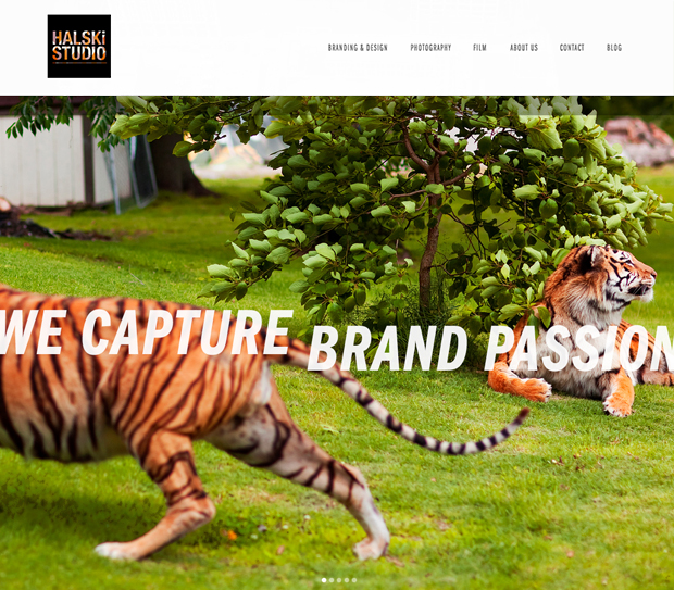 Halski Studio Website Design - Homepage