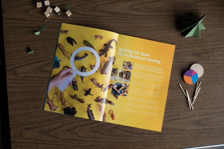 Using animal toys for the St. Louis Zoo Annual Report Design