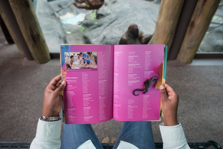 Donor pages for the St. Louis Zoo Annual Report Design