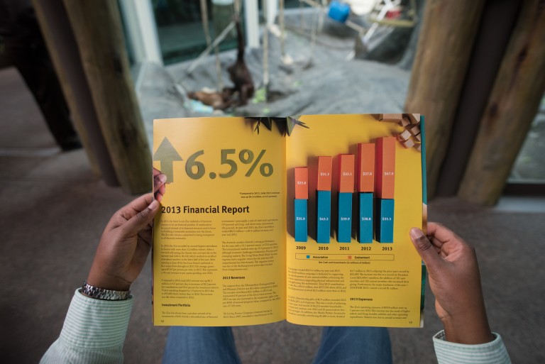We designed the charts used in the St. Louis Zoo's Annual Report out of construction paper.