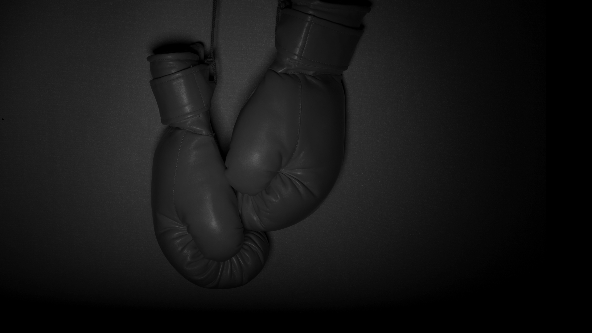 Black and white image of hanging boxing gloves