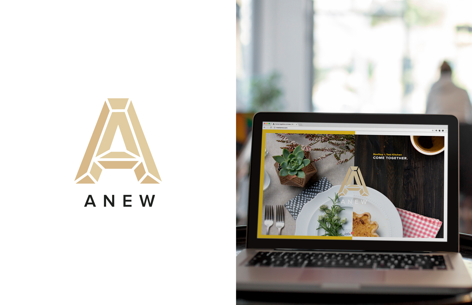 Logo design and website for Anew in St. Louis