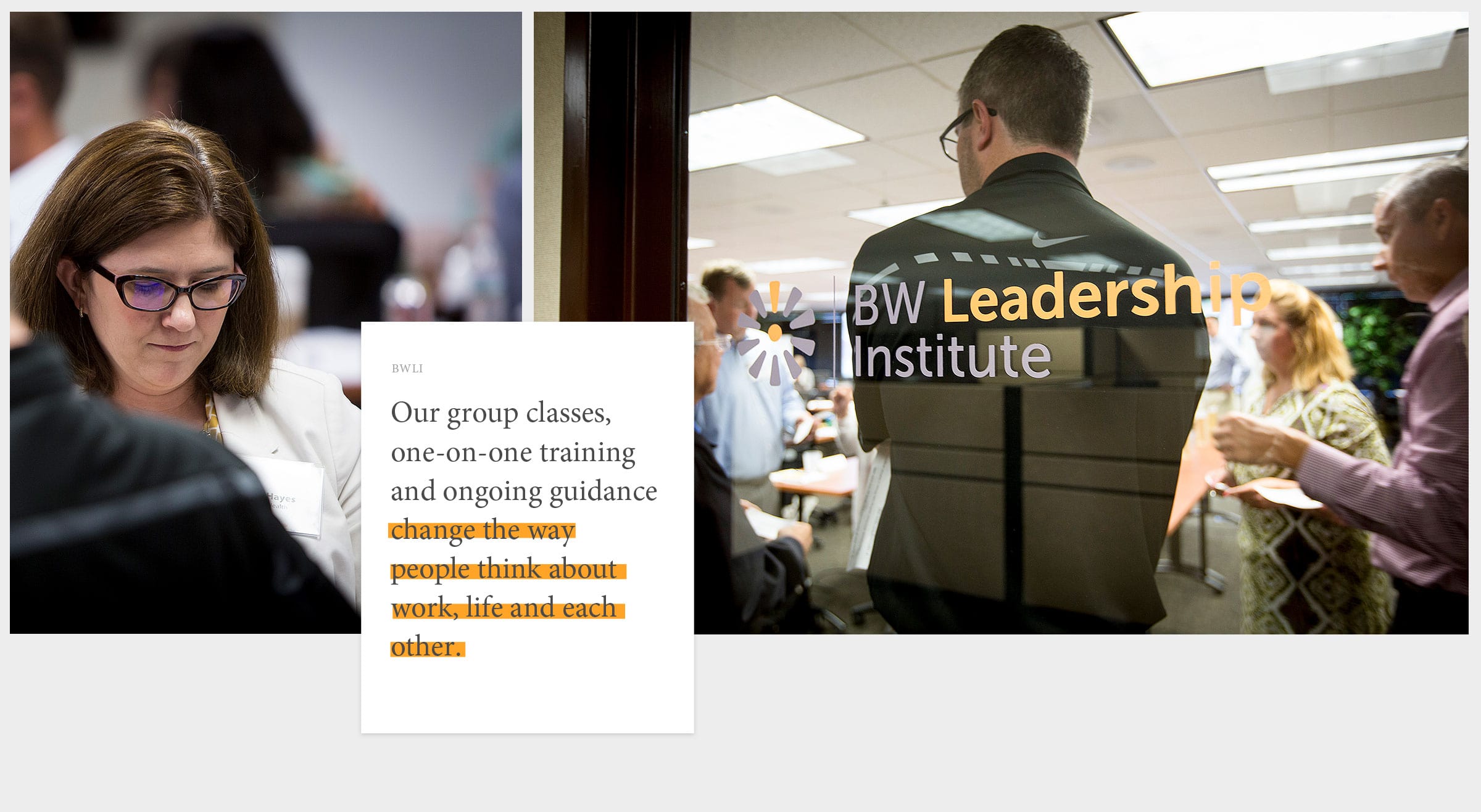Elements of the Barry Wehmiller Leadership Institute Branding Program