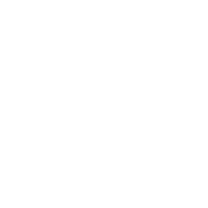 Premium Retail Services