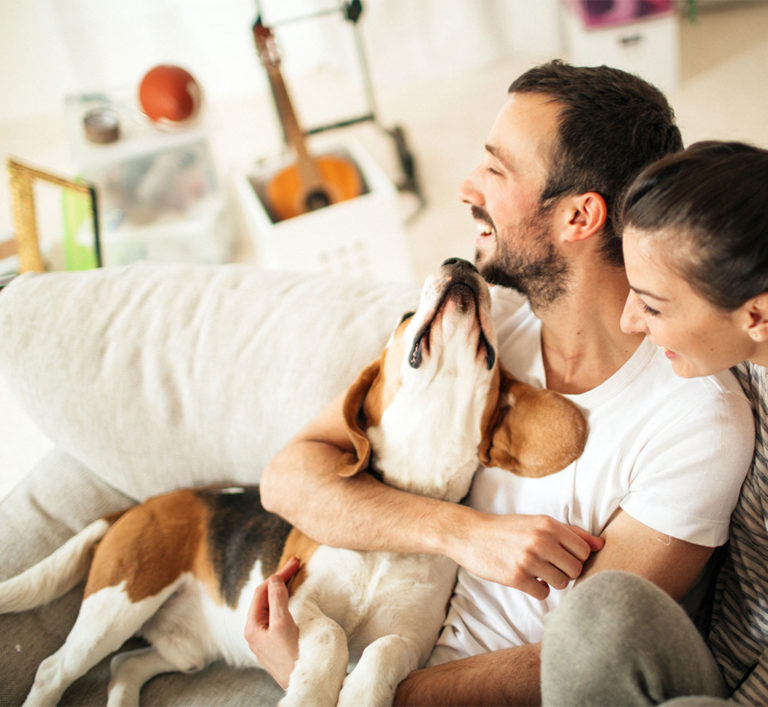 Encore - Real Estate Brand Identity - Pet Friendly Photography