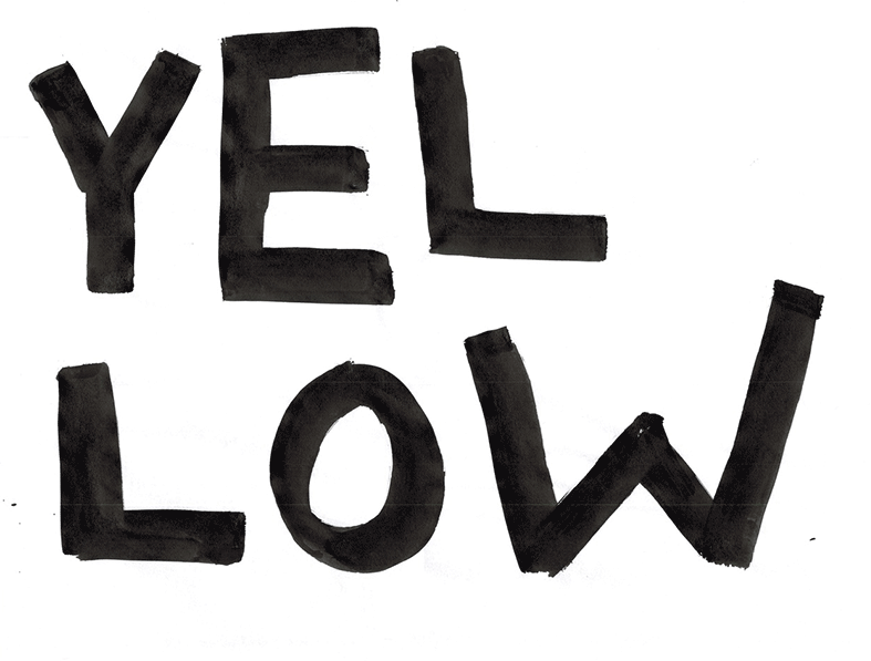 Yellowbelly-Branding-Logo-Exploration
