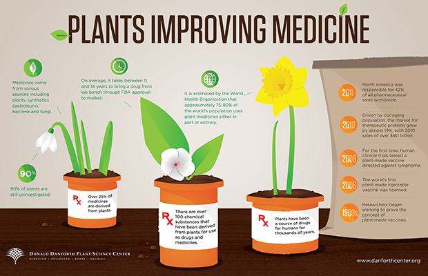Danforth Infographic - Plants Improving Medicine
