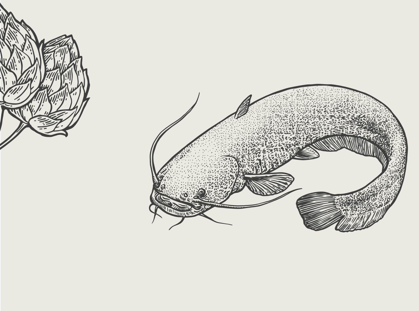 Restaurant branding hops and catfish illustrations