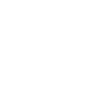 LexisNexis Payment Solutions