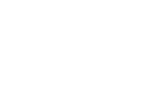 Ron Rubin Brands