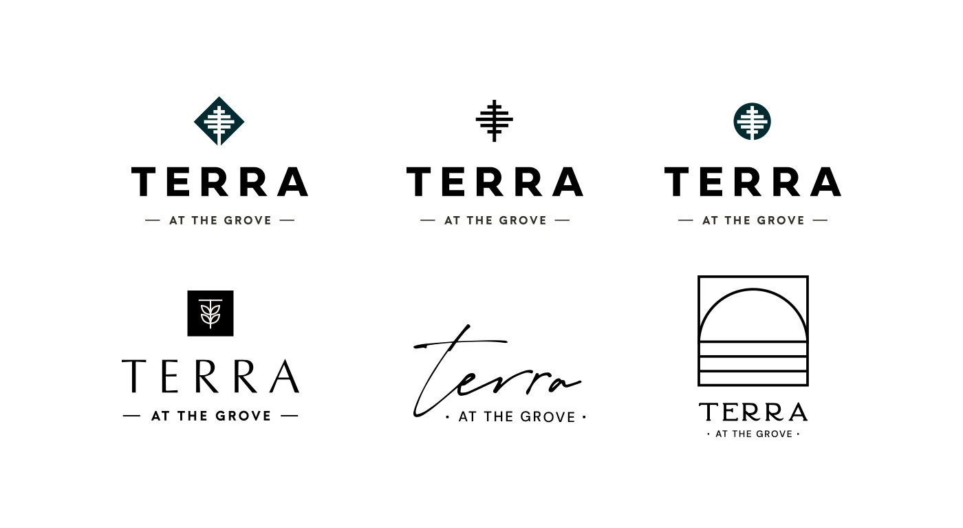 Early versions of the Terra logo for the residential development branding