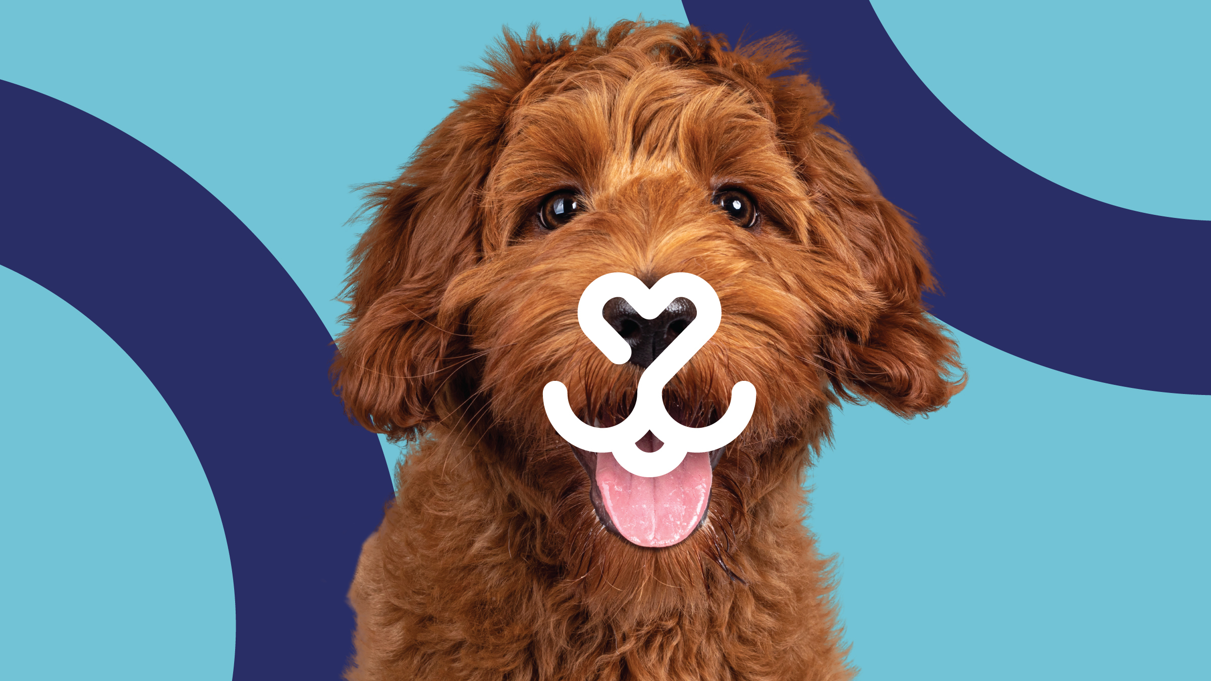 Puppy with the All Pet Card logo