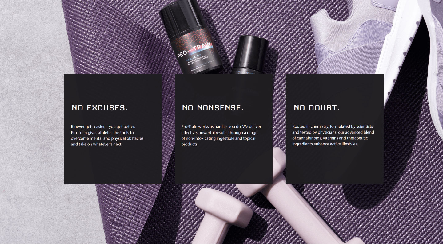 The brand pillars of "No excuses," "No nonsense," and "No doubt" round out the brand language.