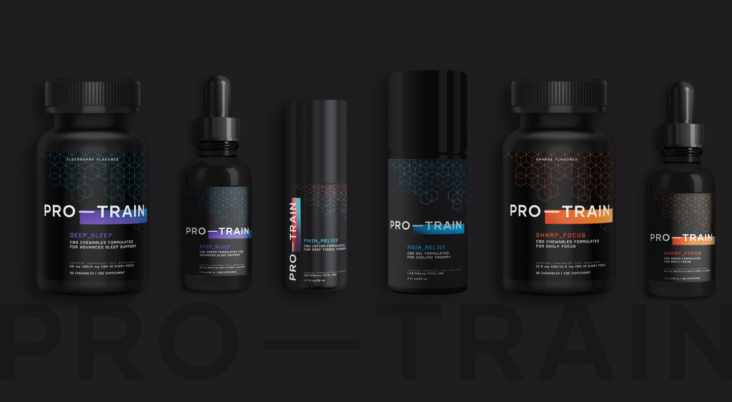 Pro-Train project image