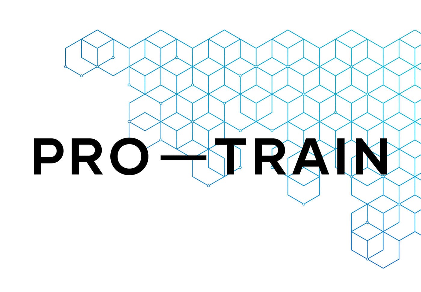 Pro-Train logo and brand pattern
