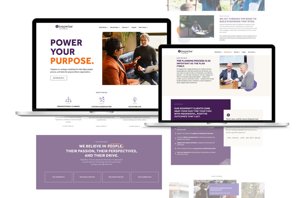 Trepwise consulting firm website pages