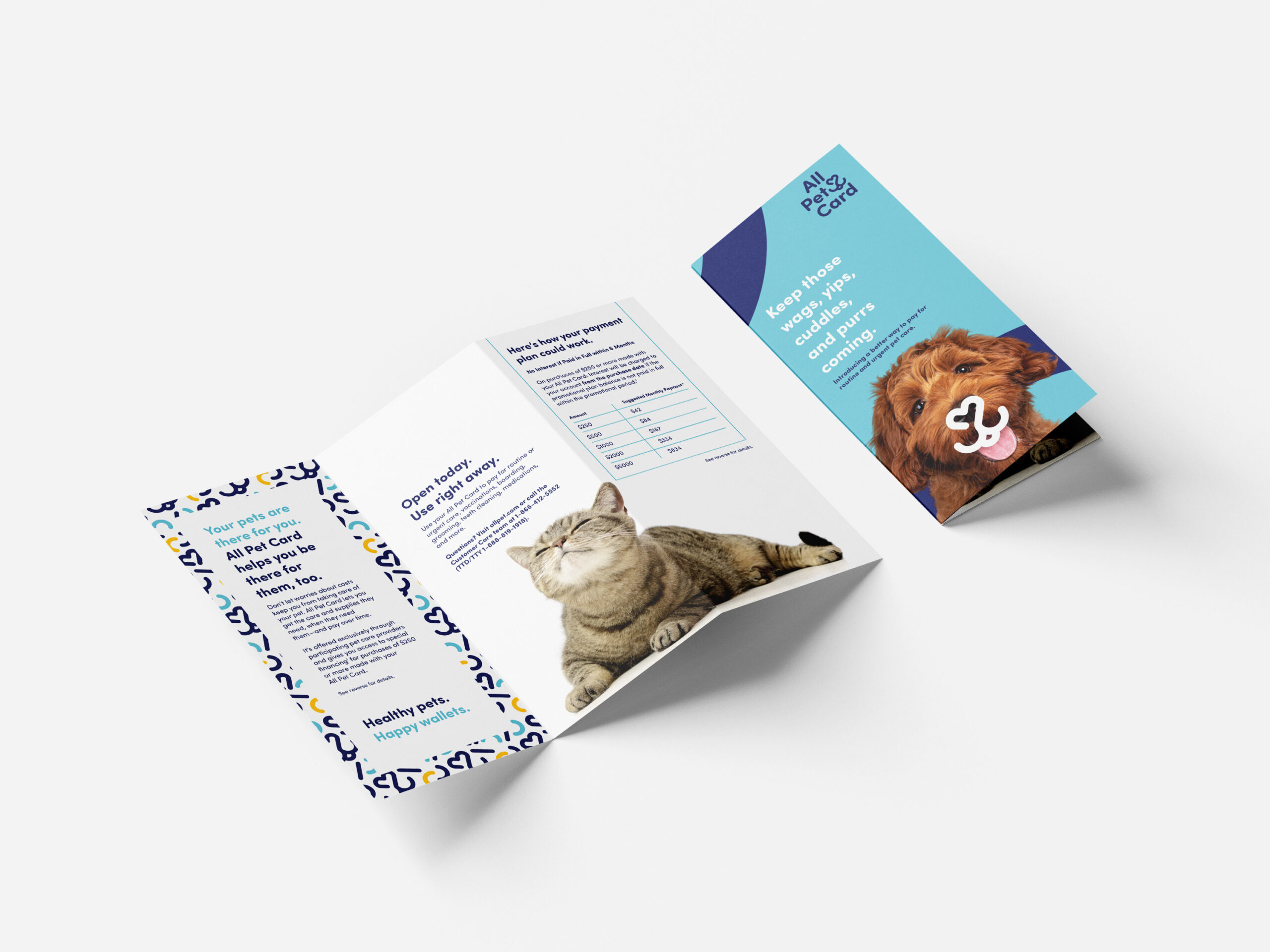 All Pet Card branded trifold brochure