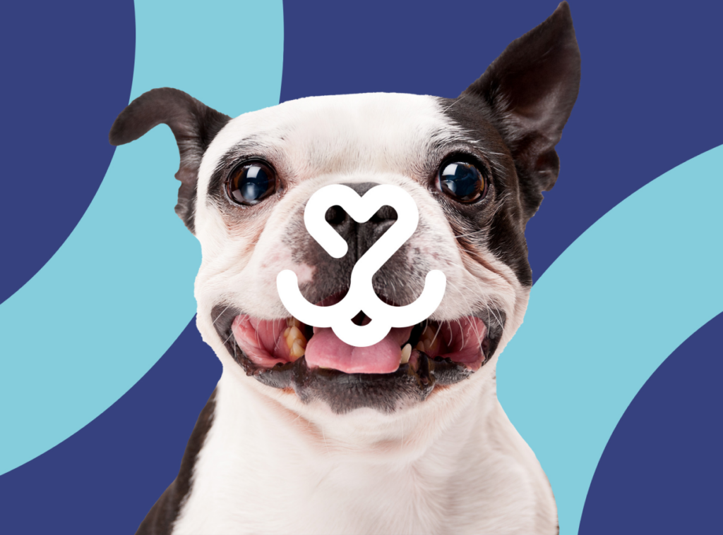 All Pet Card dog with branding