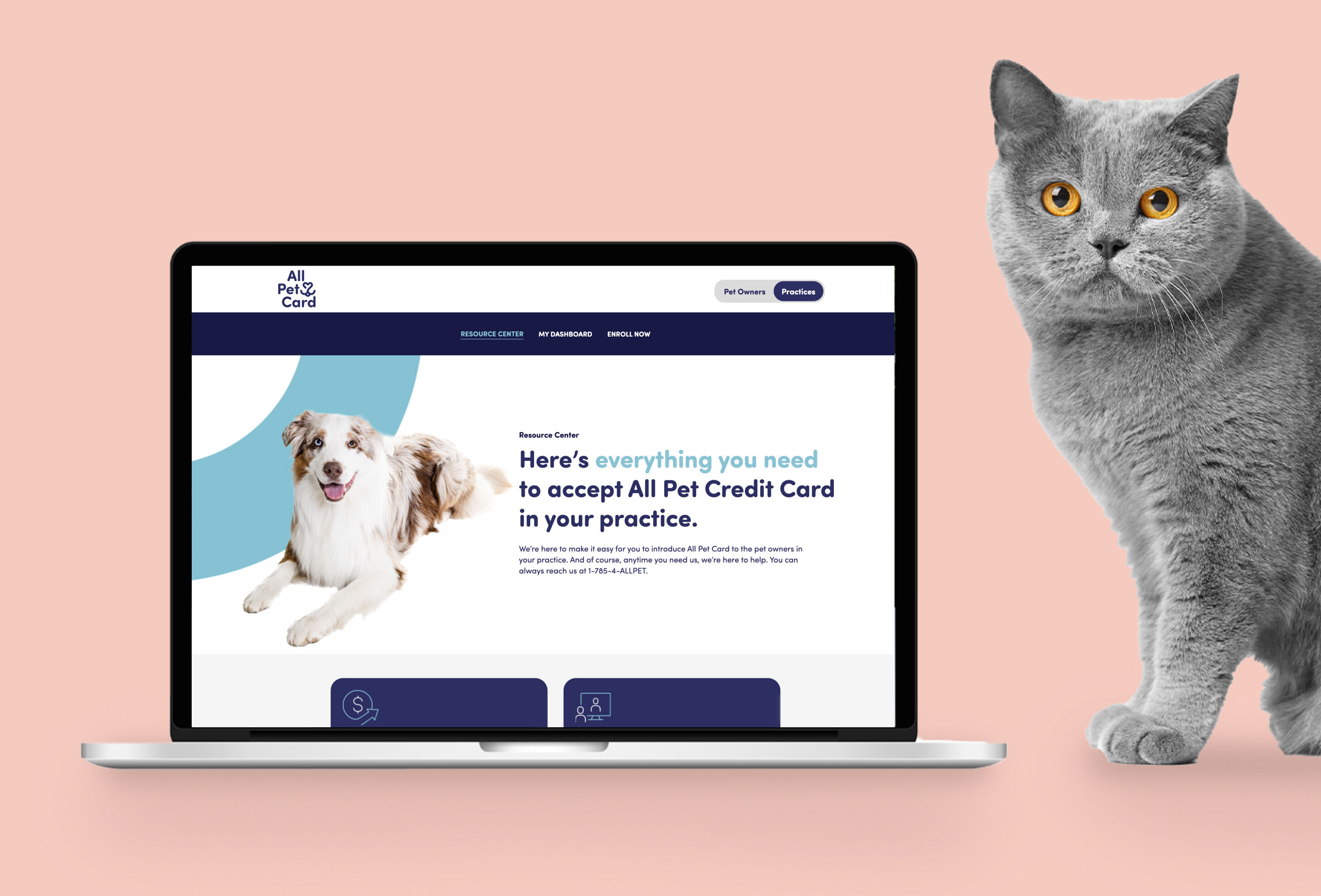All Pet Card website page on a laptop screen