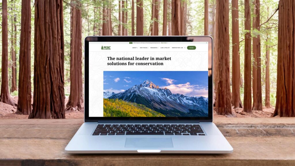 PERC website on a laptop in a forest