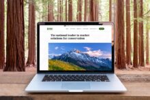 PERC website on a laptop in a forest