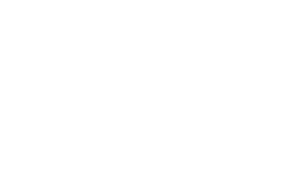St. Louis Language Immersion School