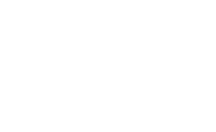 Nimble Solutions