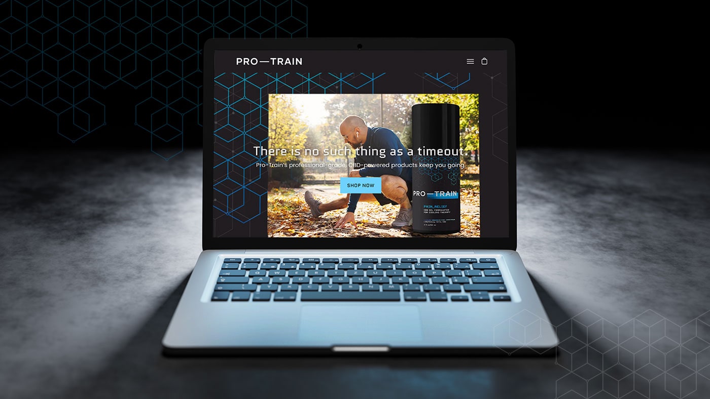 The Pro-Train website on a laptop