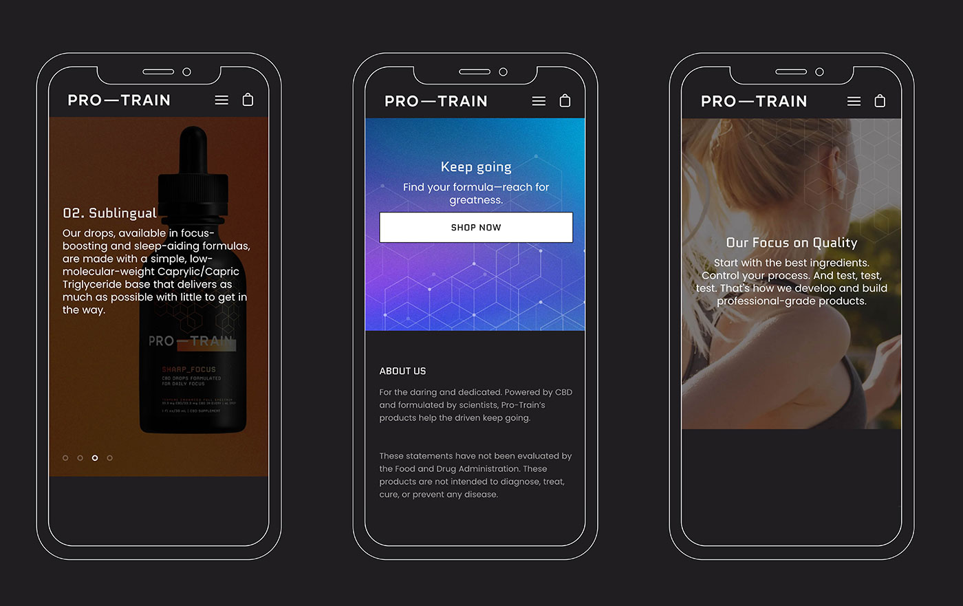 Mock-ups for Pro-Train's digital marketing campaign