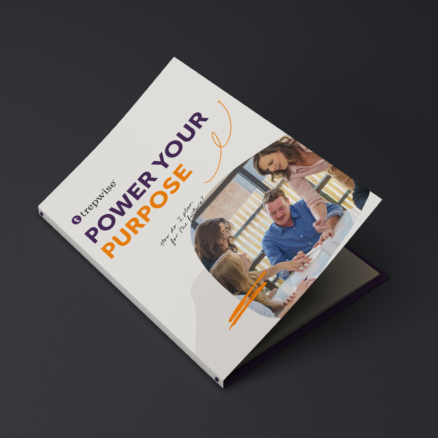 The Trepwise brand applied to marketing materials