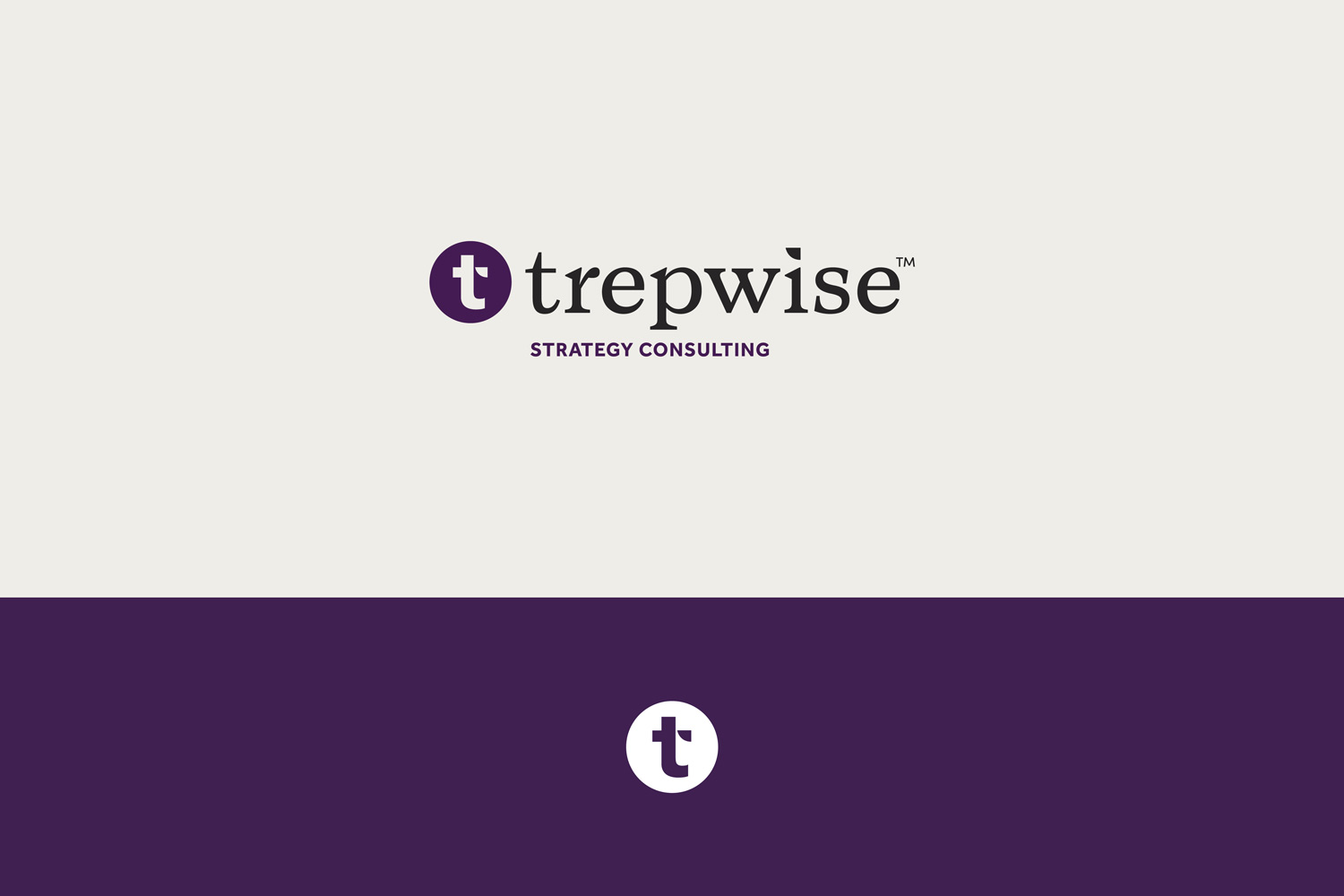 Trepwise strategic consulting firm branding logo