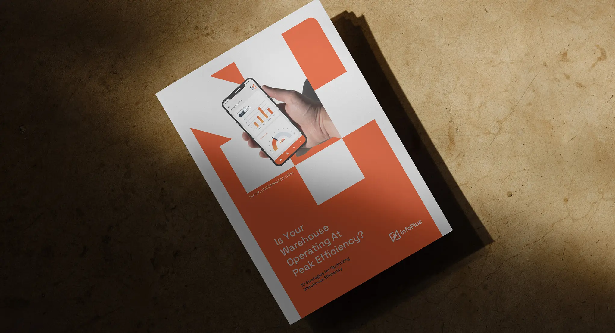Brand identity for InfoPlus used on a sales sheet.