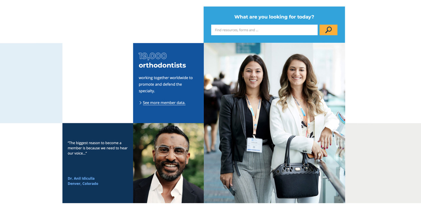 The search functionality on the AAO website redesign allows visitors to quickly find what they need