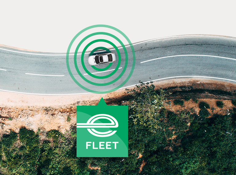 Enterprise Fleet Management - Branding and Website Design