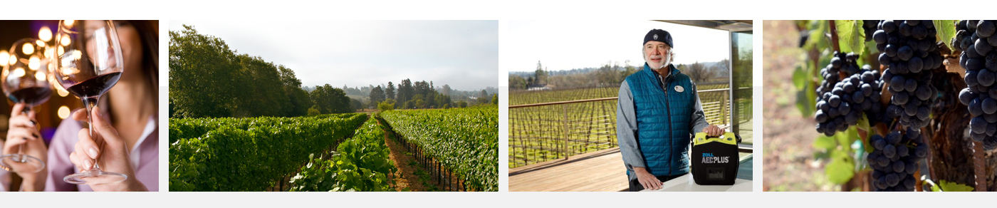 Photos of Ron Rubin's Winery