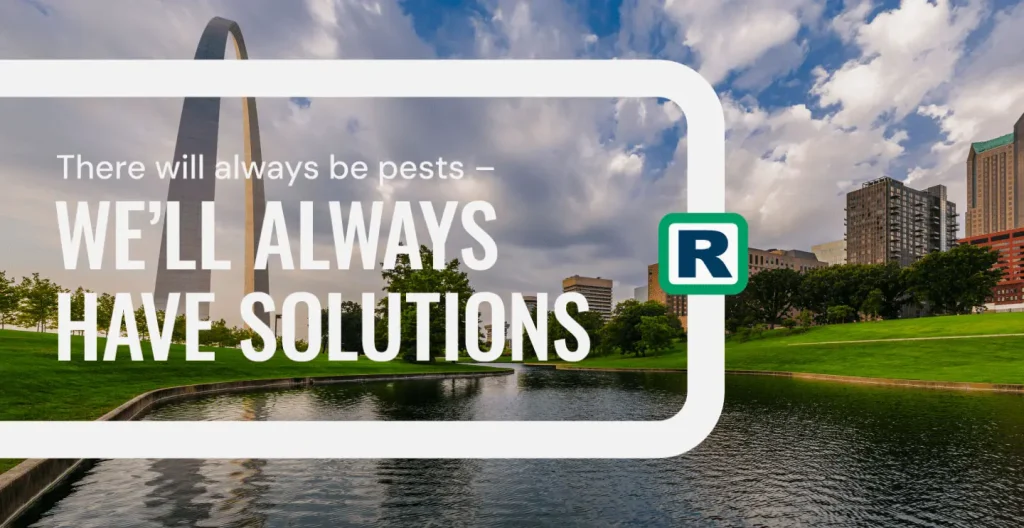 Saint Louis Local Pest Control