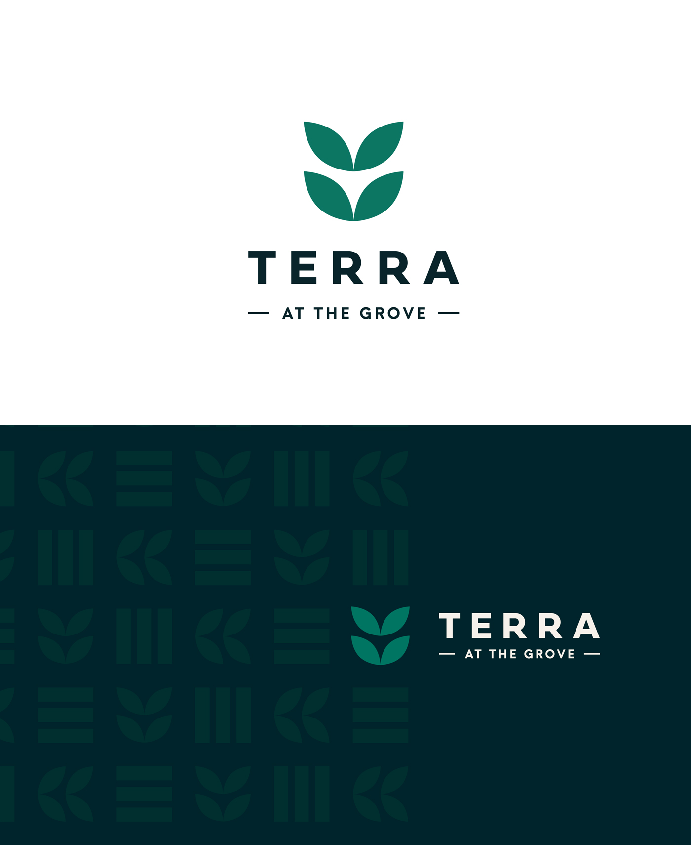 Terra logos and brand pattern